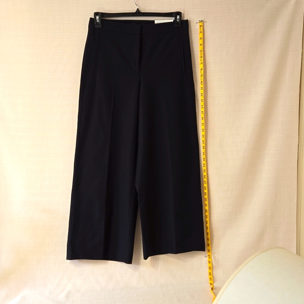 ANN TAYLOR The Marina Pant Size 6Tall